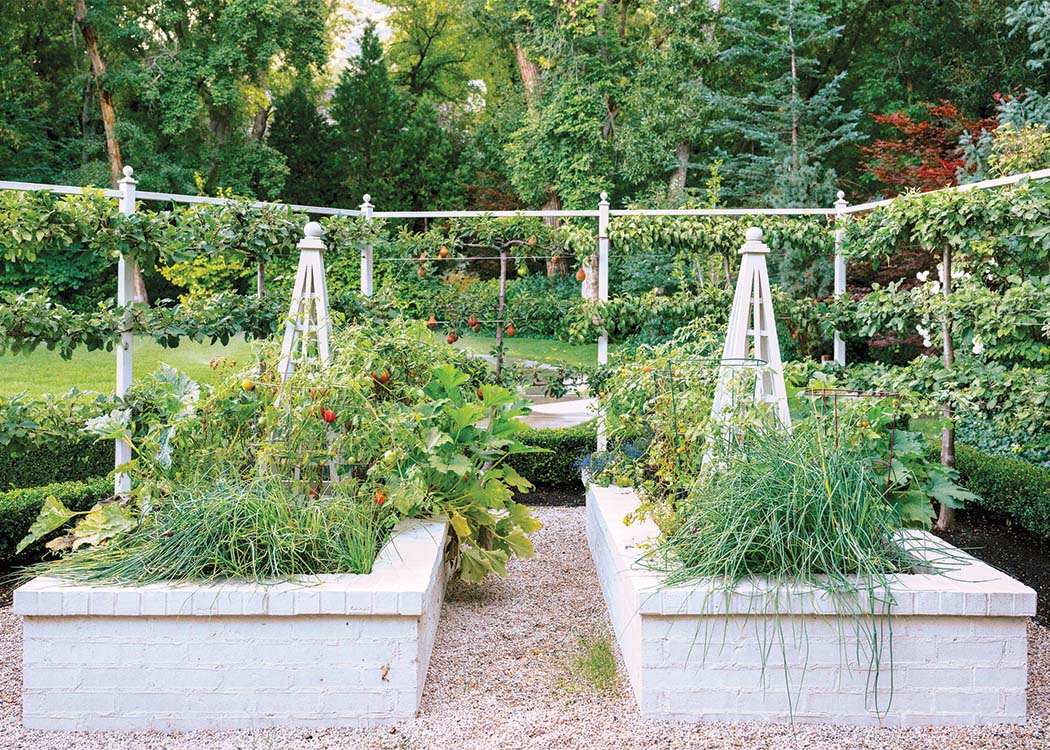Utah’s Rise in Raised Garden Beds