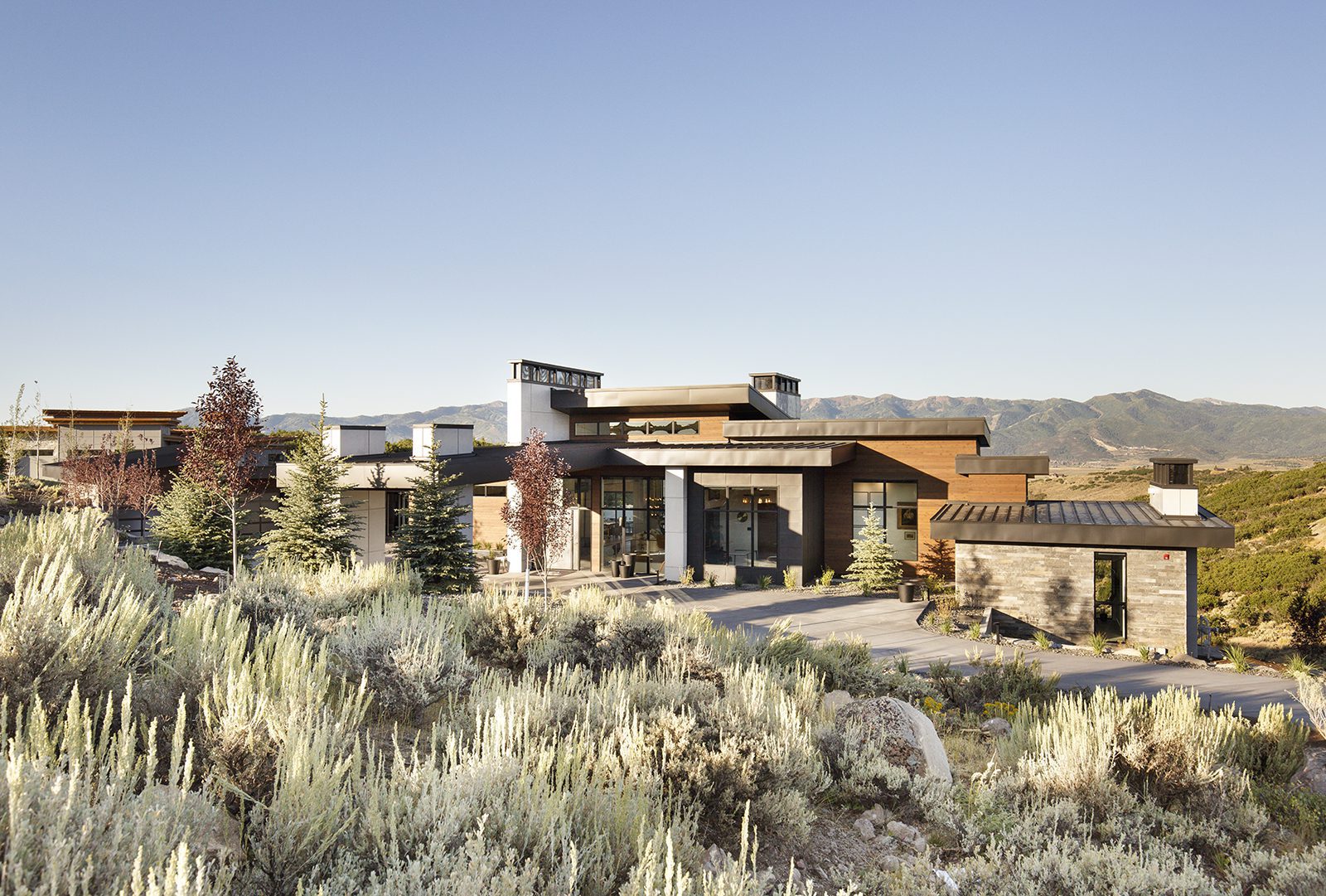 More to See: Surprise Moves