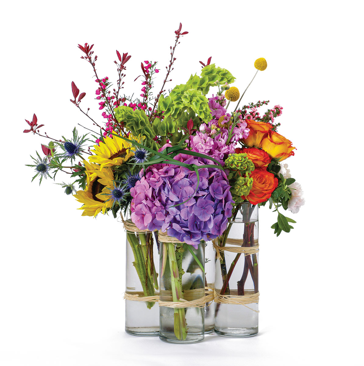 How to Preserve Cut Flowers at Home