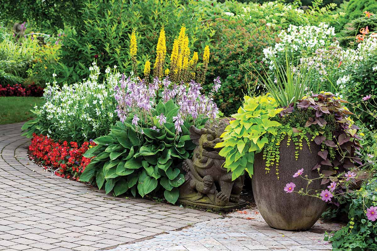 Plant Like a Pro: Spring Potting Processes to Implement This Year