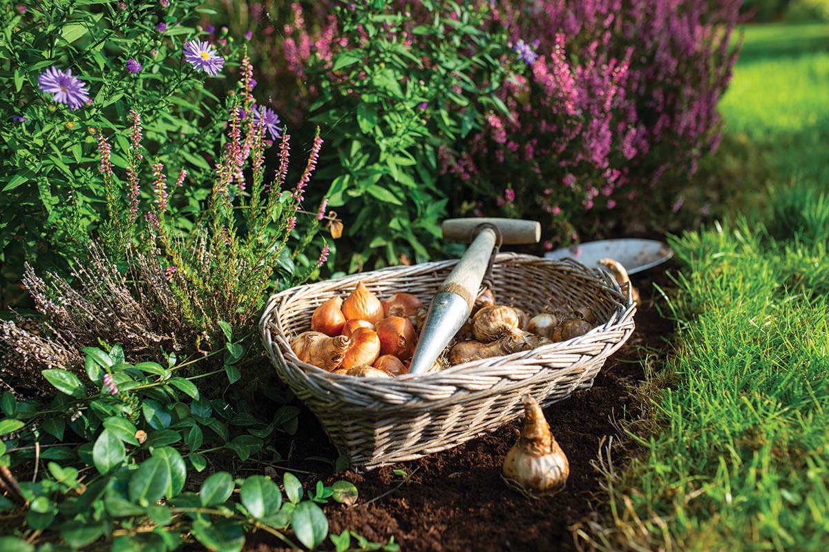 USU Extension’s Autumn Garden To-Do List