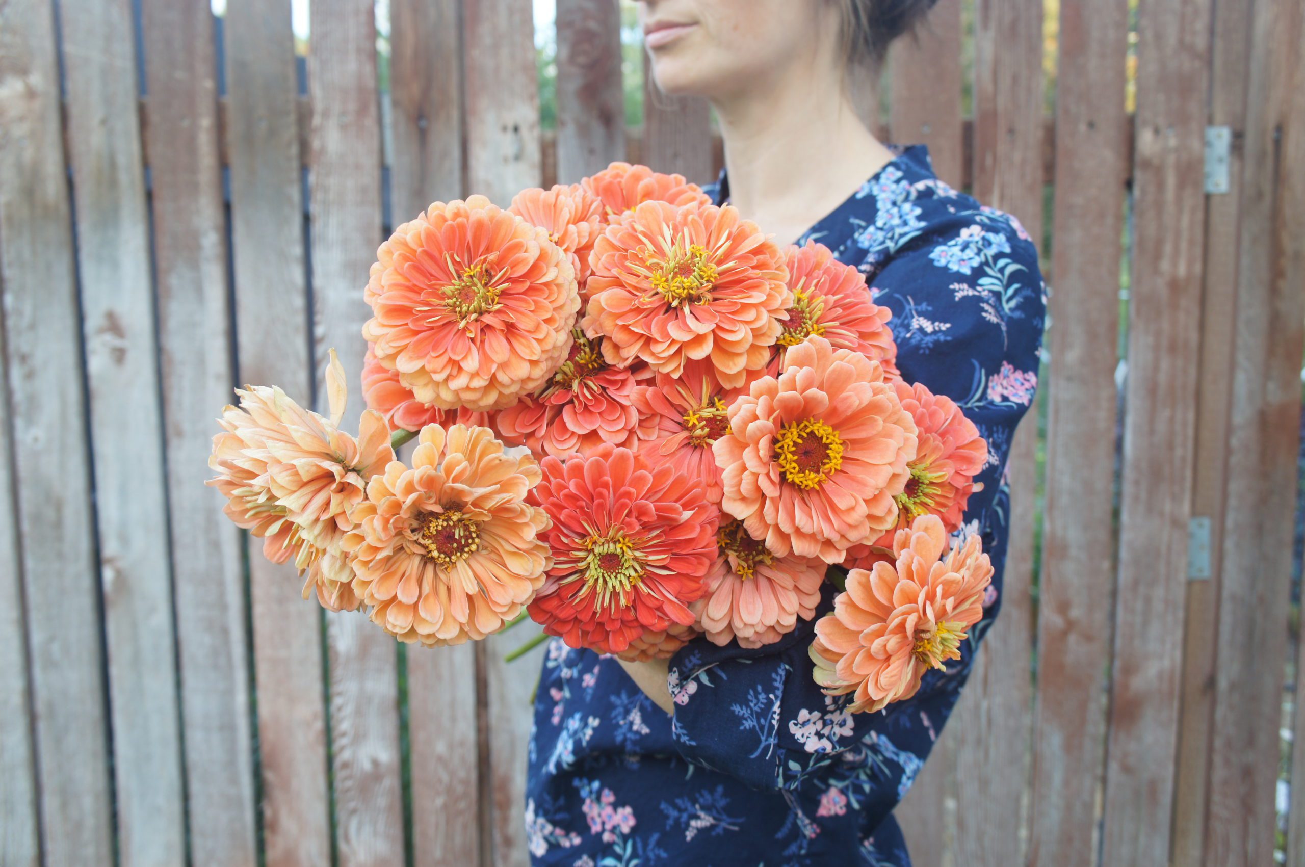 How to Pick Your Favorite Annuals