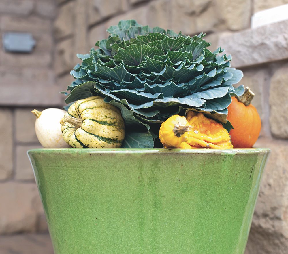Late Bloomers: Fall Garden Planters