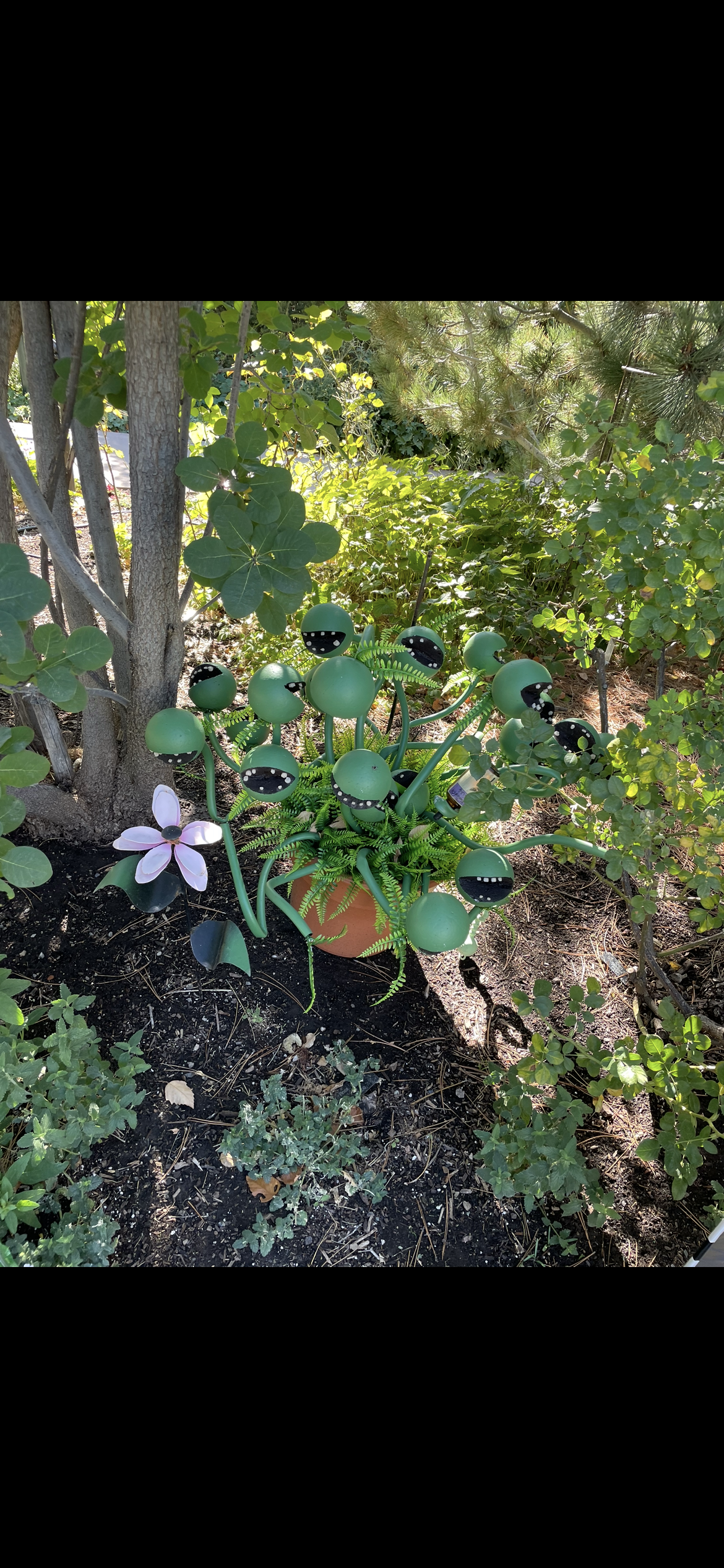 BOOTanical Nature Walks at Red Butte Garden