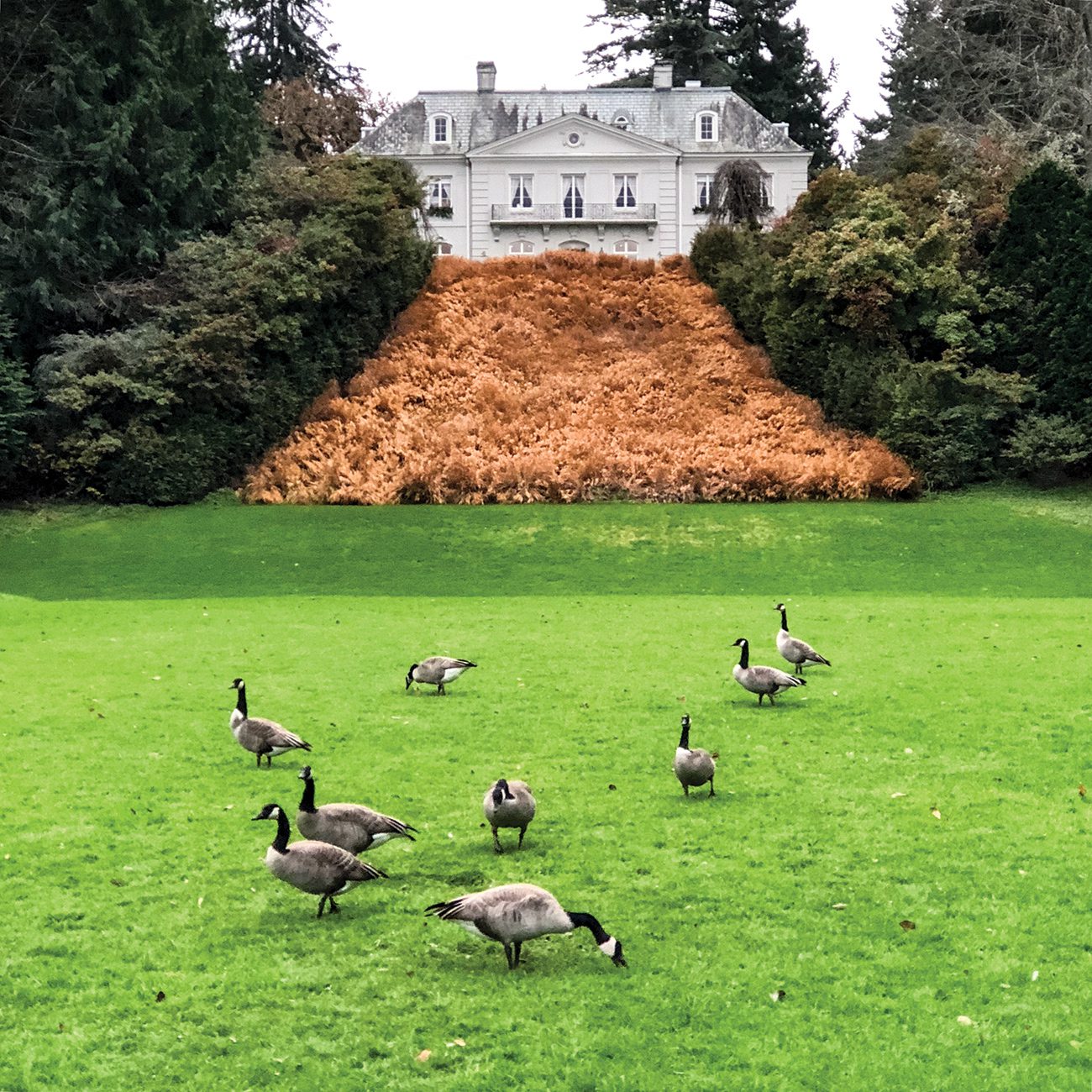 5 Reasons Bloedel Reserve Should Be on Your Holiday Hit List