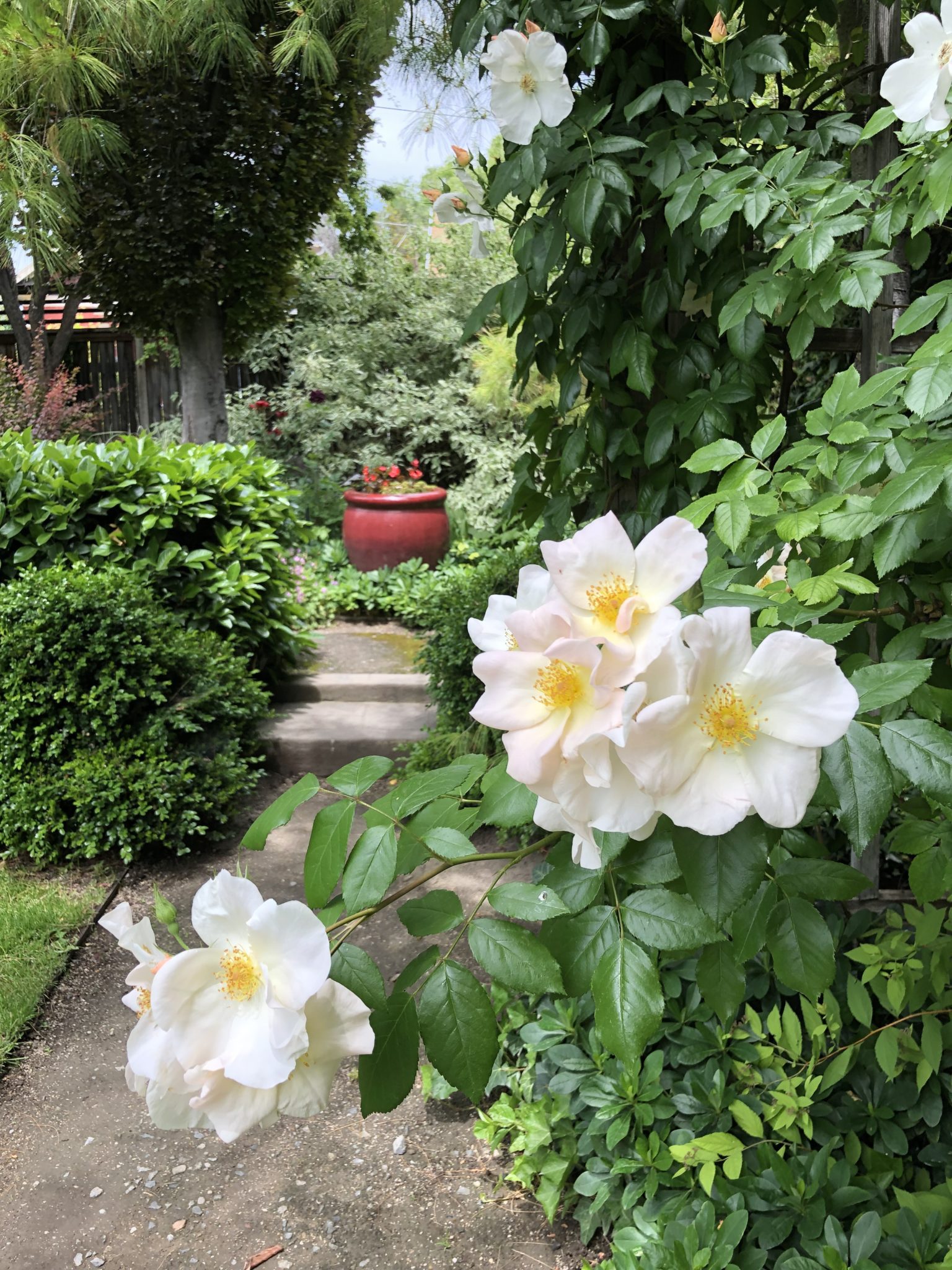 Good-News Update: The Garden Store Is Sticking Around