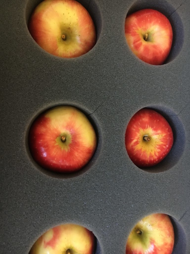 Taste Test – Apples to Apples – Honeycrisp or SweeTango?