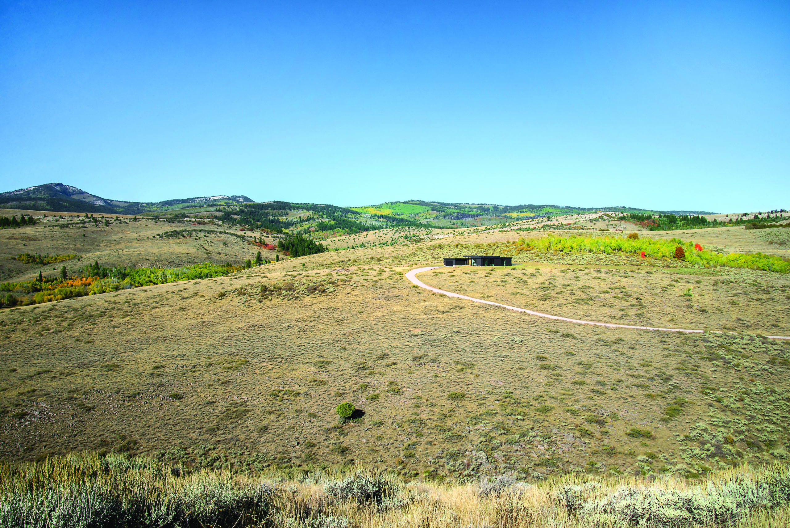 Editor’s Note: Live it Up