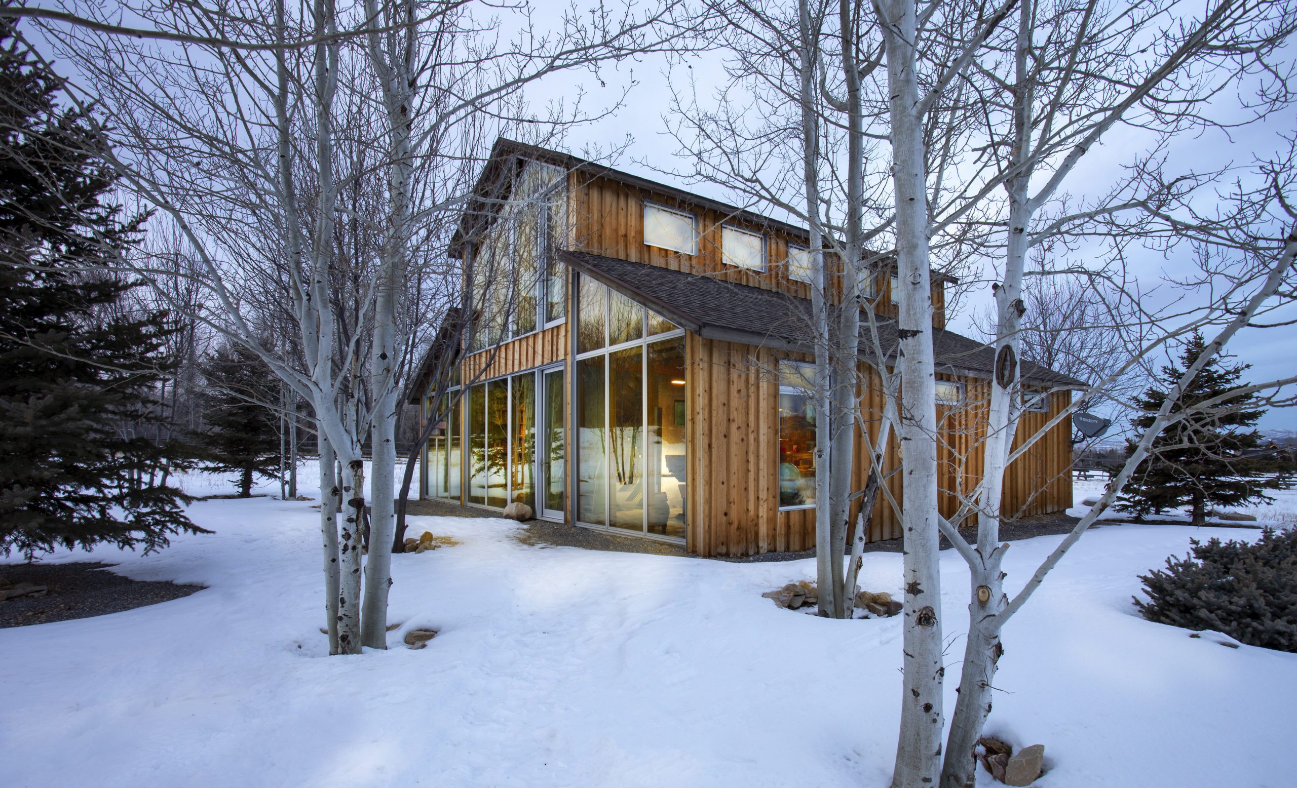 Photo Friday: Hank Louis’ Library in the Trees