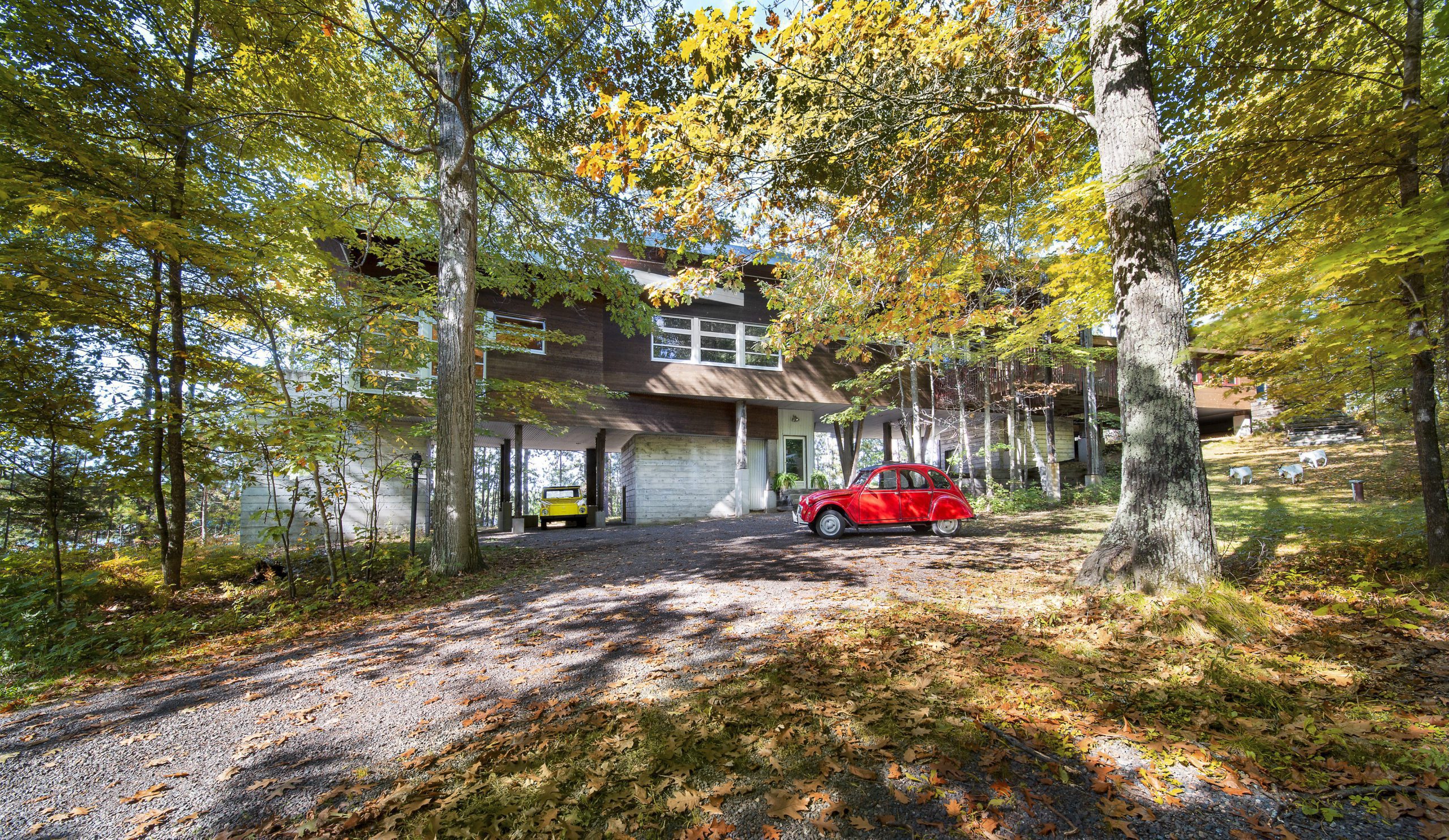 Photo Friday: Summer Camp Remembered