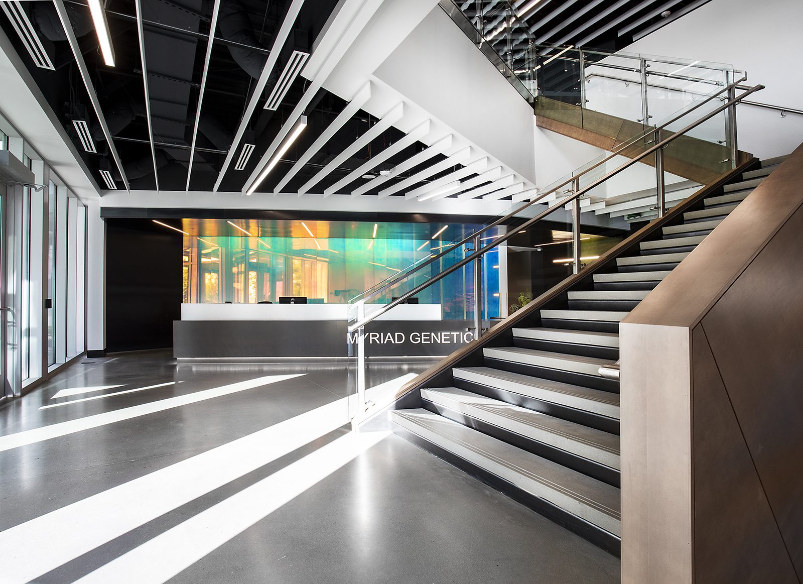 Photo Friday: Back to Work