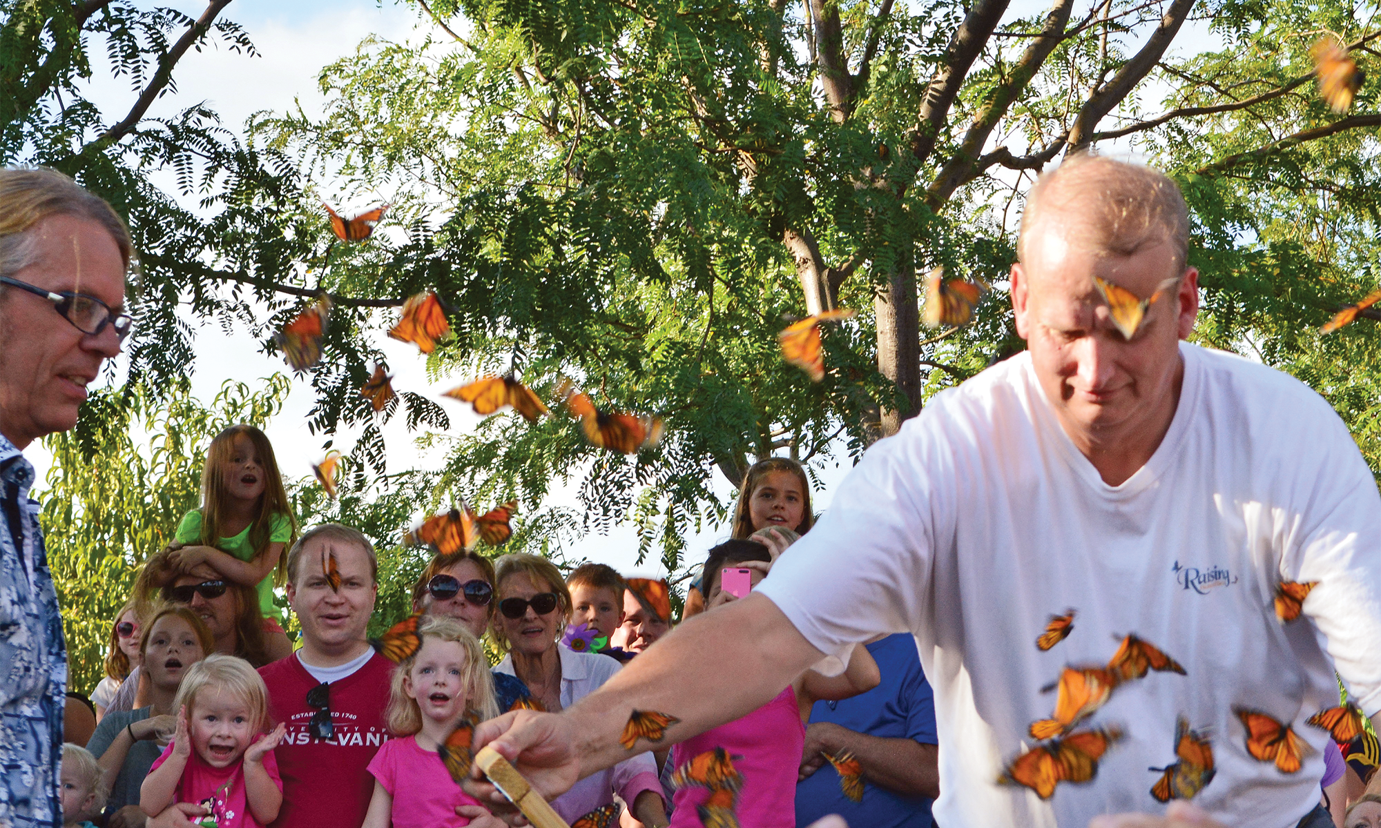 Events to Attend · Taking Wing