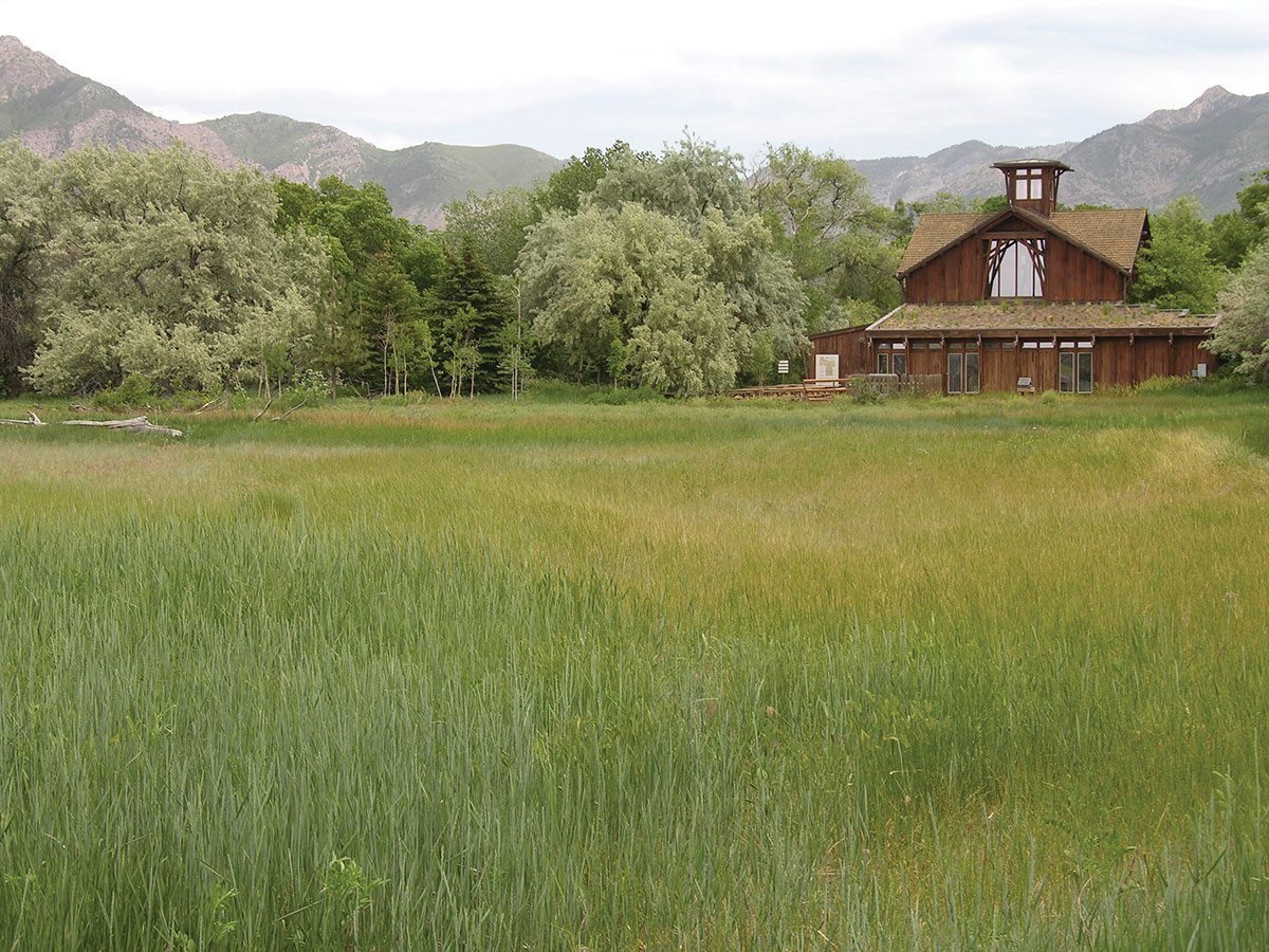 Natural Garden Decor Inspired by the Ogden Nature Center