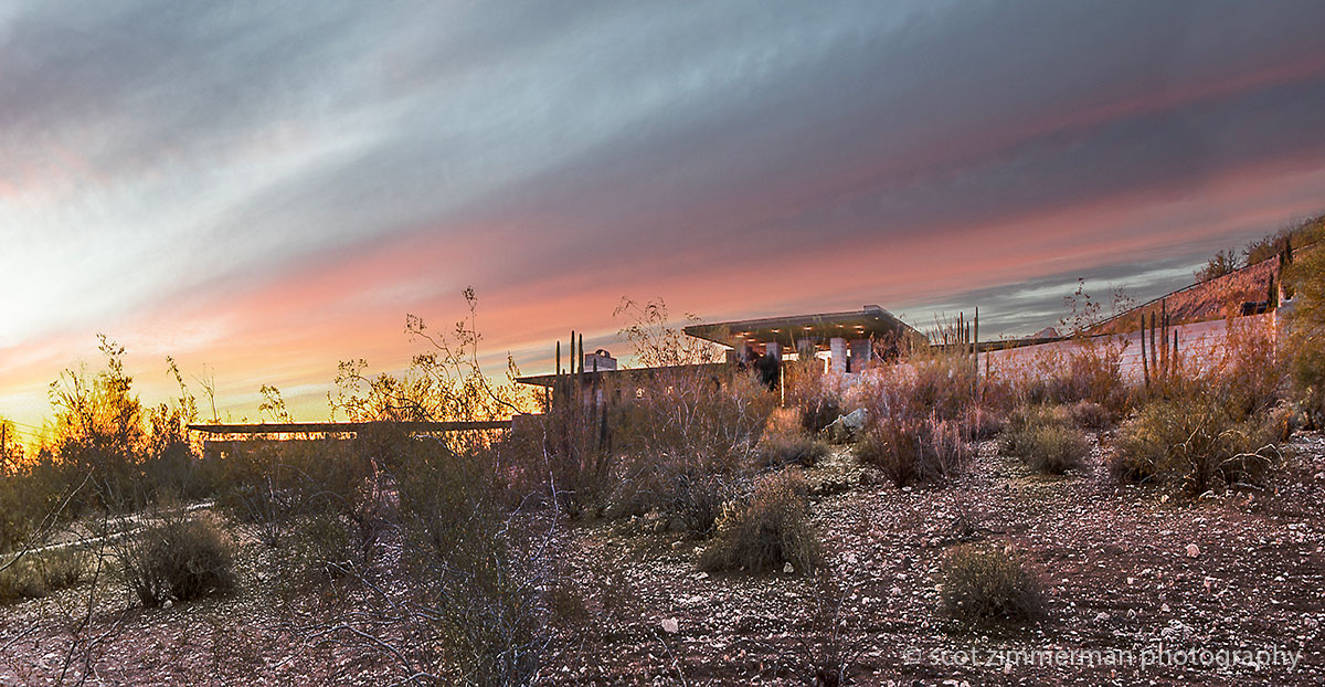 Photo Friday: Desert Oasis