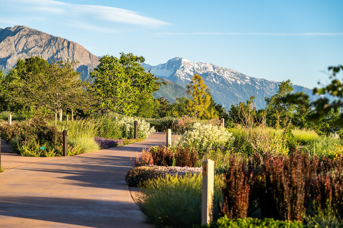 4 Misconceptions About Water-Wise Gardens