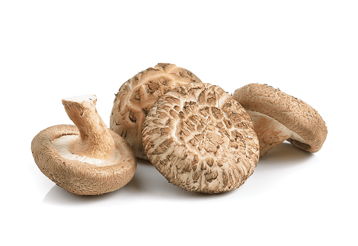 Take Your Pick: Identifying Mushrooms