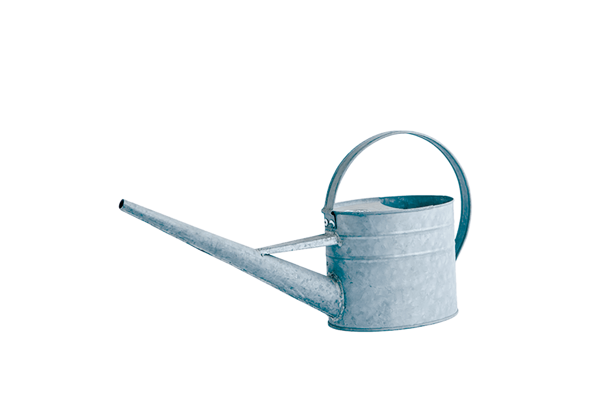 Spring Planting Must-Haves