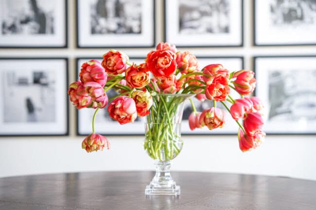 Flower Power: Promote Your Well-Being with Indoor Blooms