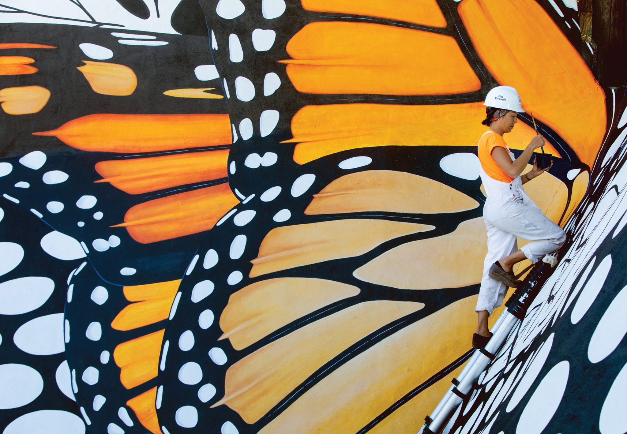 Taking Wing: Admire Ogden’s Monarch Murals