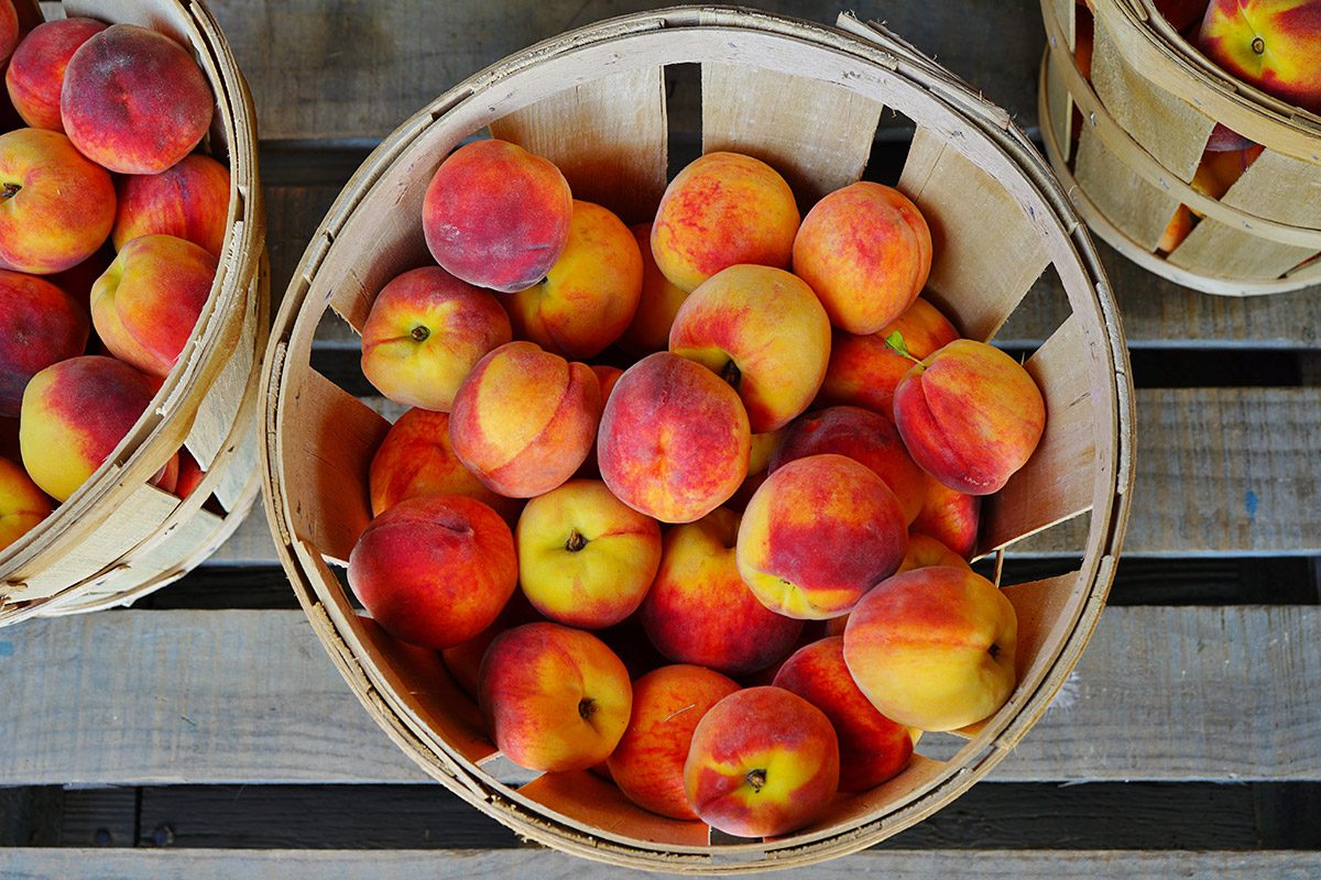 Where to Find Peaches in Utah