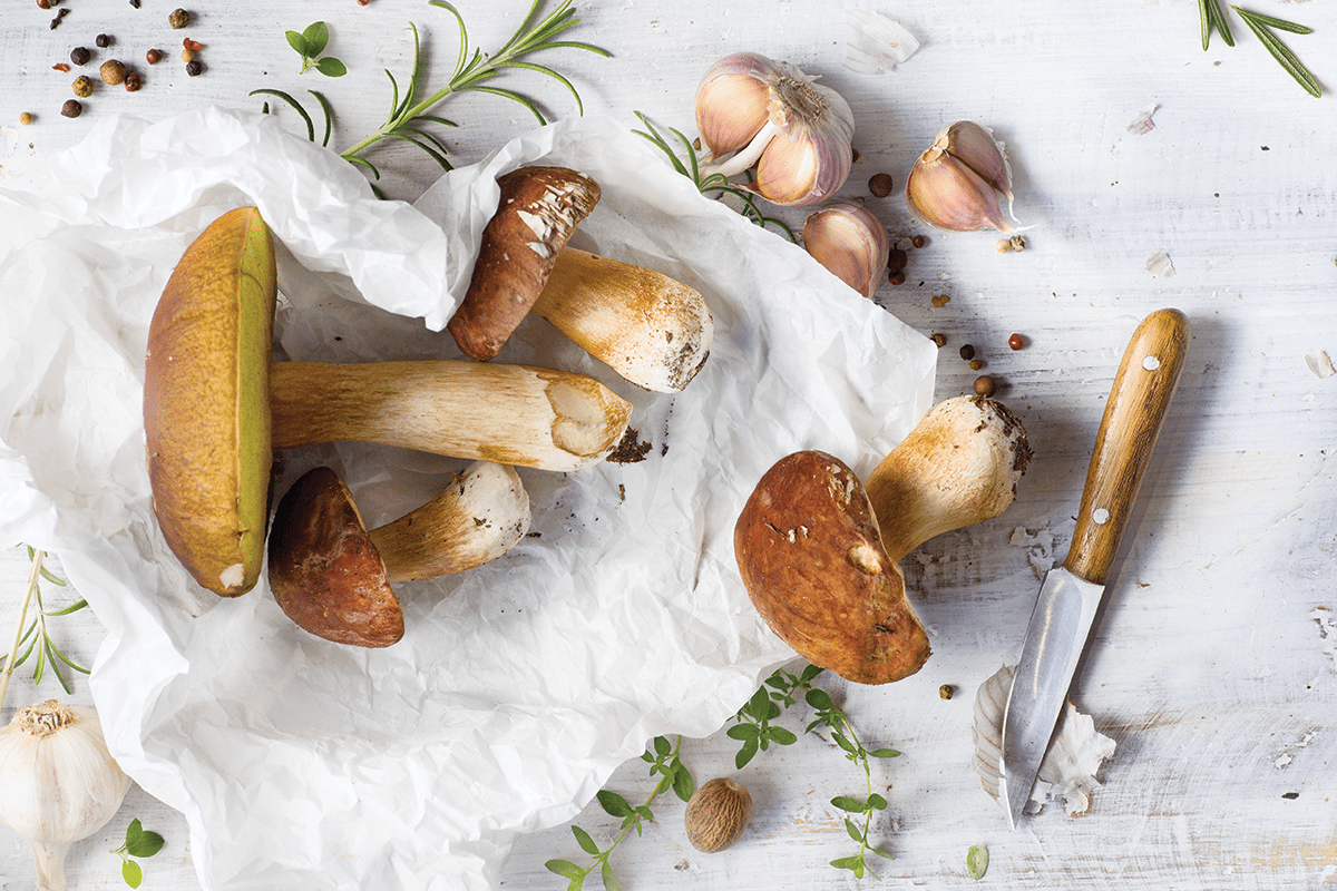 Mysterious Mushrooms: Fungi Facts for Your Kitchen