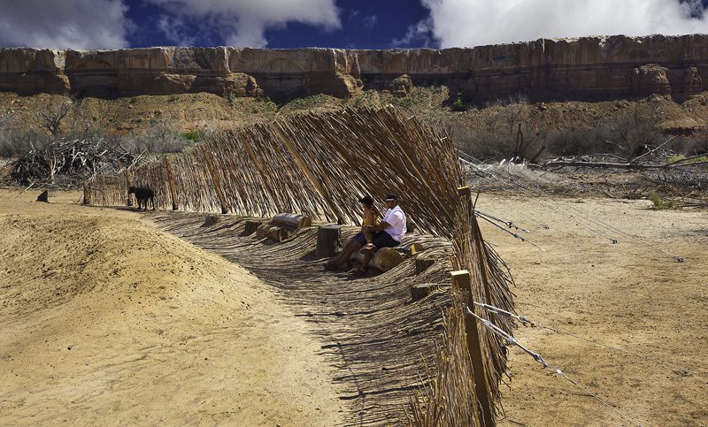 Photo Friday: Gimme Shelter