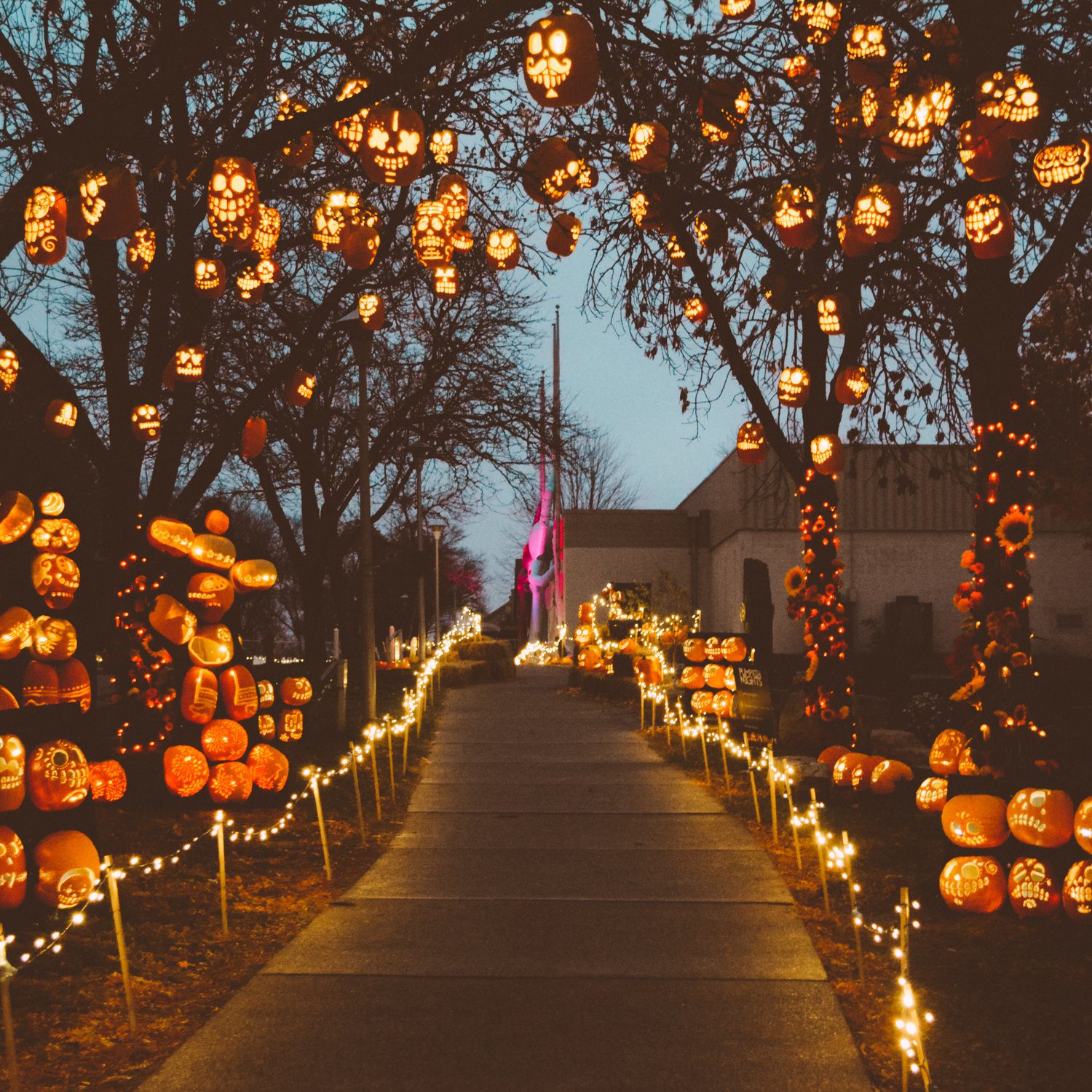 Introducing: Pumpkin Nights